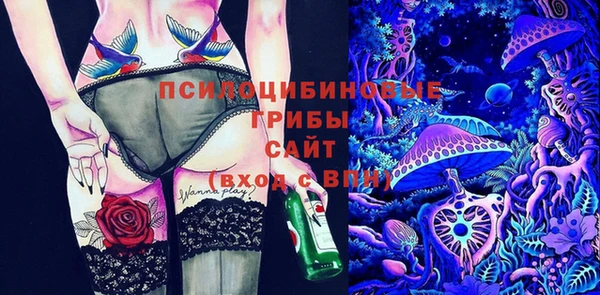 шишки Вязьма