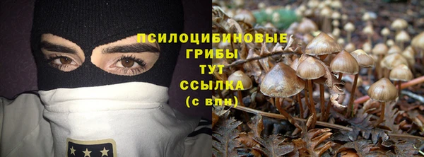 соль курить ск Волосово