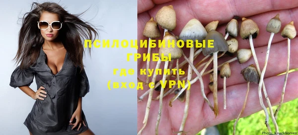 соль курить ск Волосово