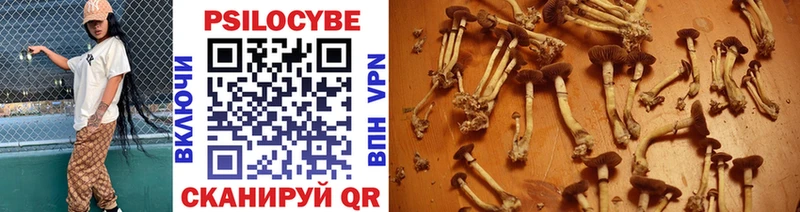 Купить Обоянь Галлюциногенные грибы мицелий